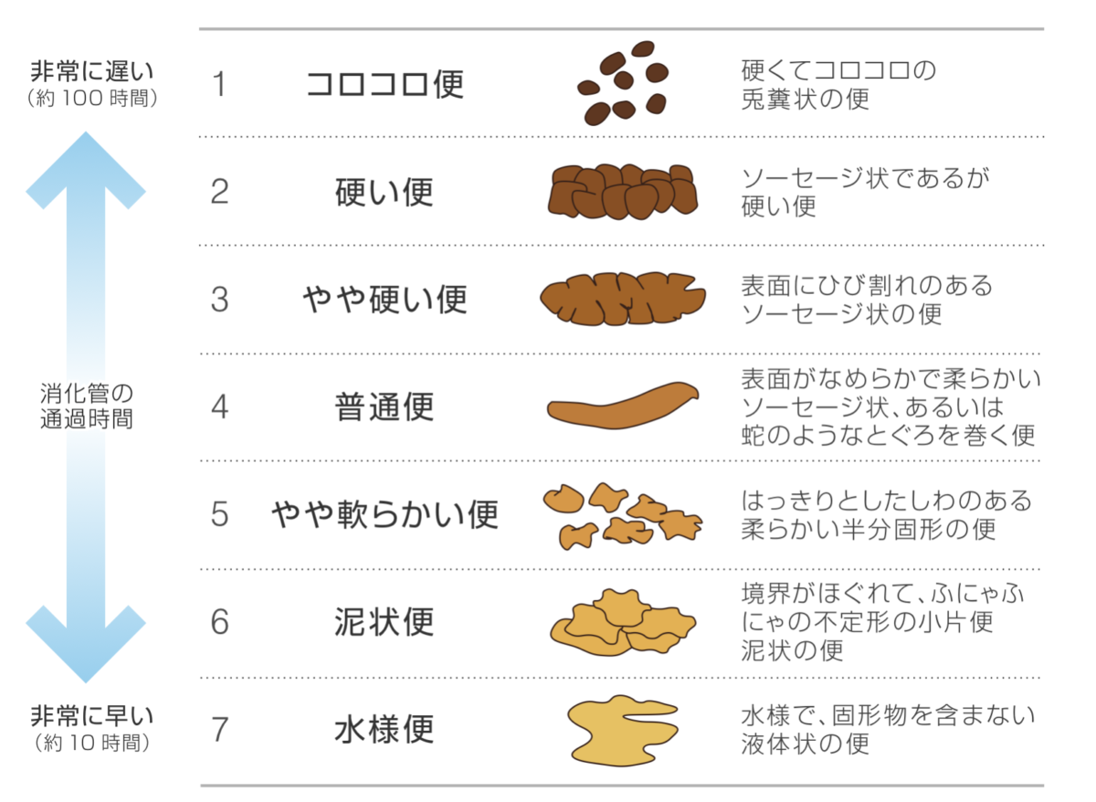 ブリストルスケール