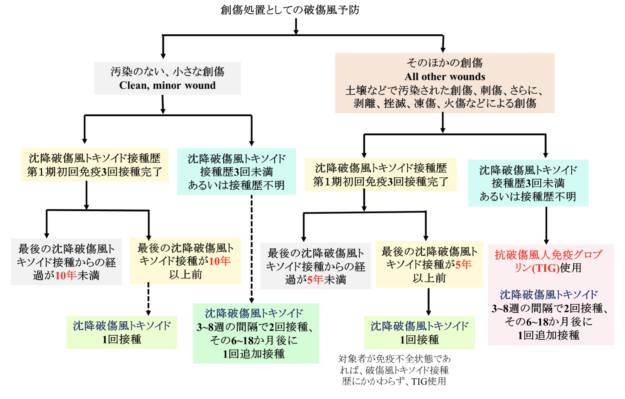 なぜブースターショットが必要なのでしょうか?