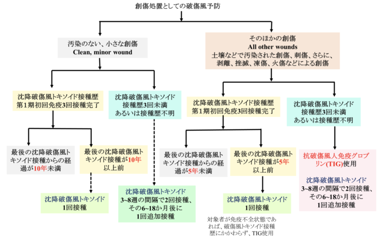破傷風の予防接種はいつ受けるべきですか?