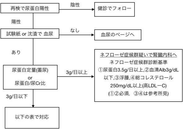 蛋白尿陽性の時の検査フローチャート