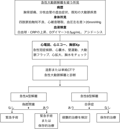 2020年ガイドラインの急性大動脈解離の診断・フローチャート。病歴（胸背部痛・分枝血管の虚血症状、既知の大動脈疾患）、身体所見（四肢脈拍触知不良、心雑音聴取、血圧左右差＞20mmHg）、血液検査（白血球・CRPの上昇、Dダイマー＞0.5μg/mL、アシドーシス）。心電図・新エコー・胸部Xpで急性冠症候群、心嚢水、壁運動、大動脈フラップ、心拡大、胸水をチェック。造影または単純CTで診断し治療適応を判断。